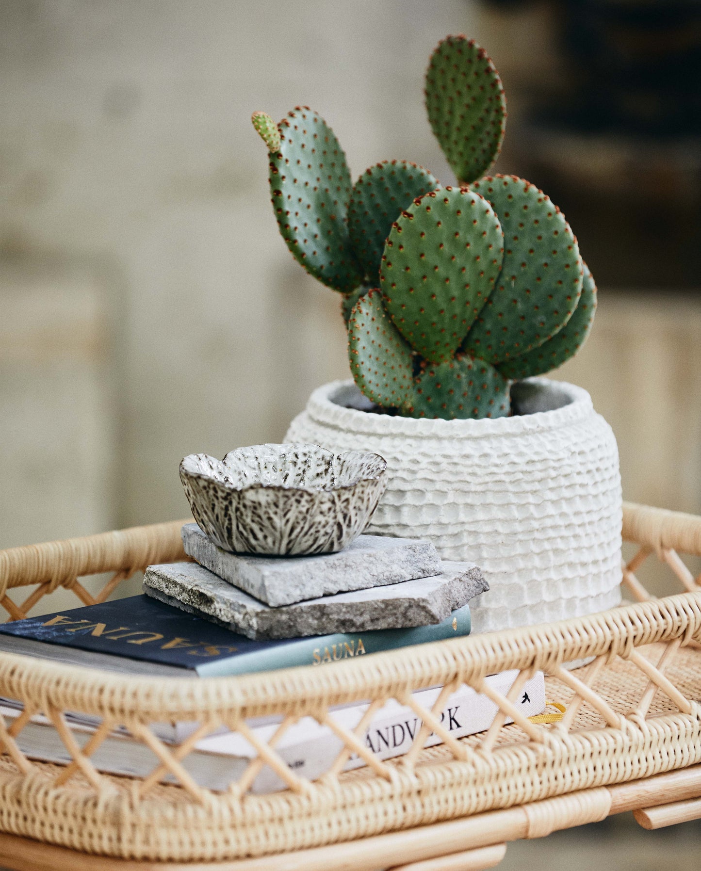 Aurelia, white pot, medium