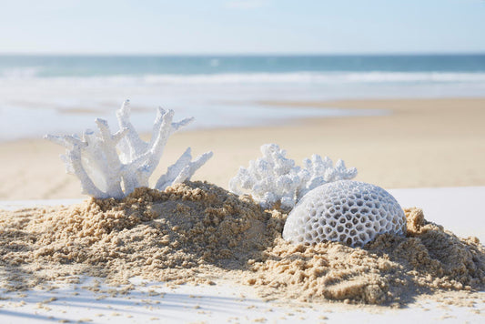 Coral sculpture white