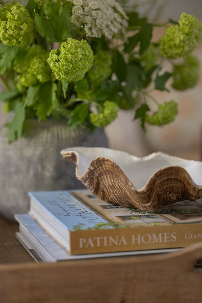 Decorative shell bowl, small