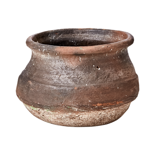 Arcadia Clay Pot, Assorted Colours