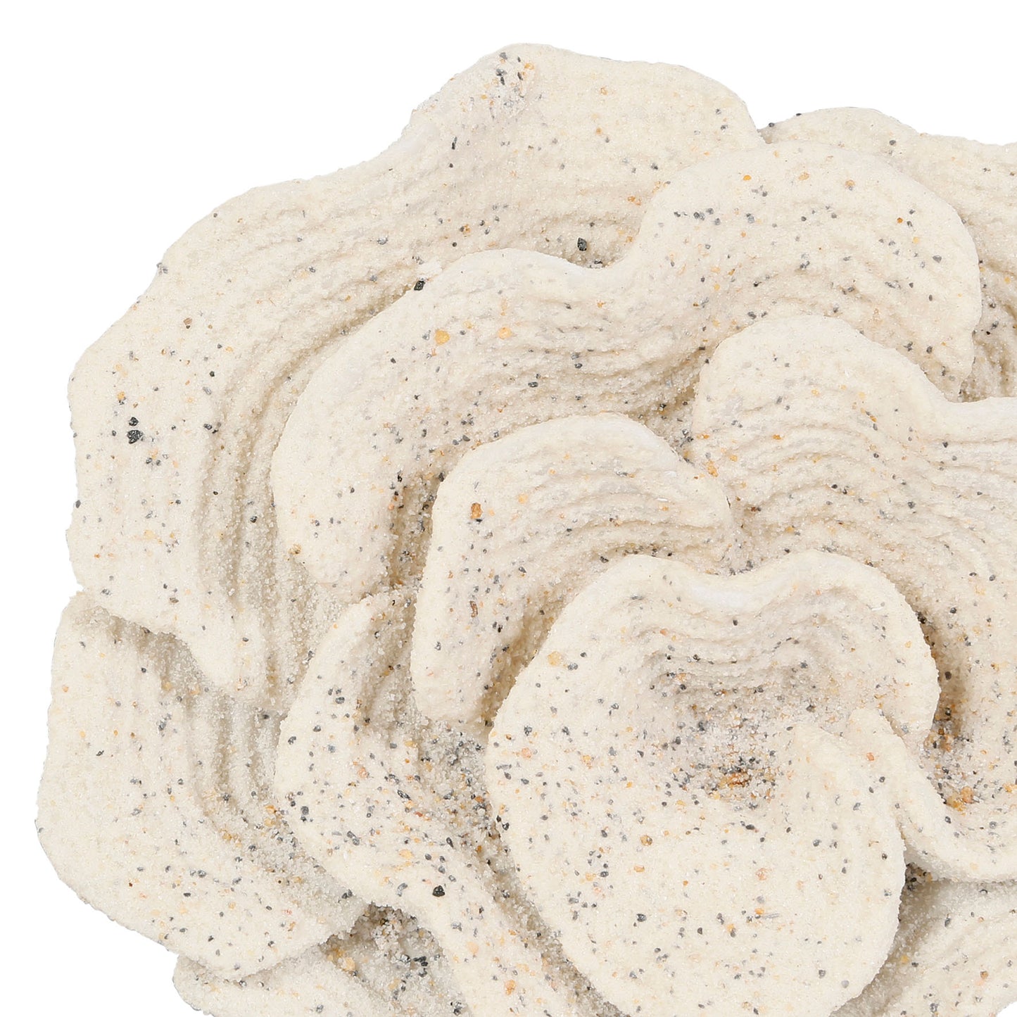 Mira Coral Sculpture Ornament