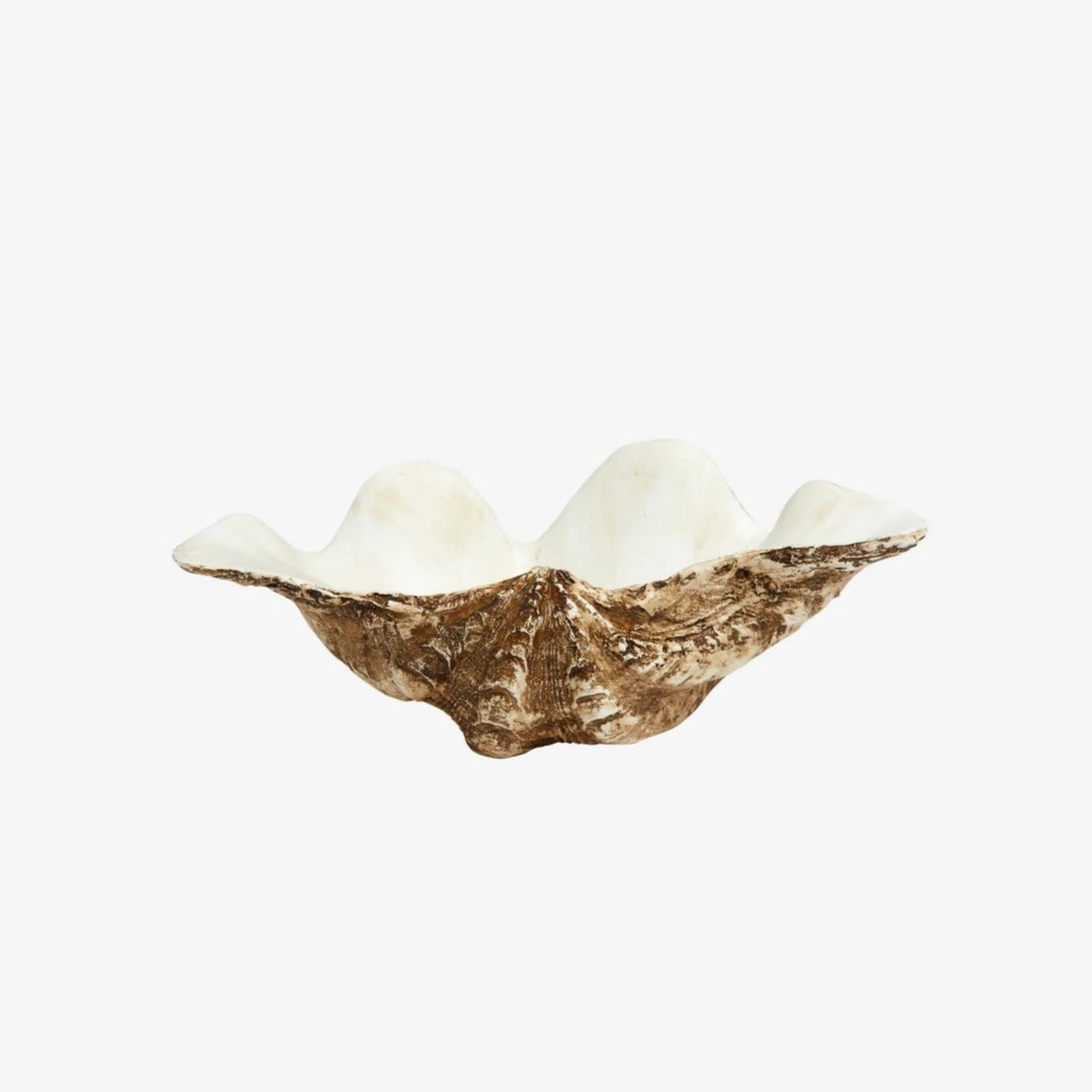 Decorative shell bowl, small