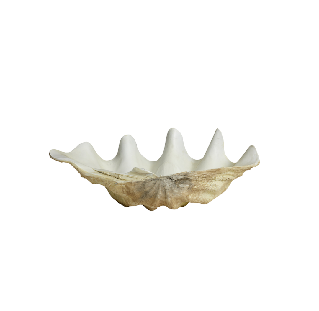 Decorative shell bowl, large