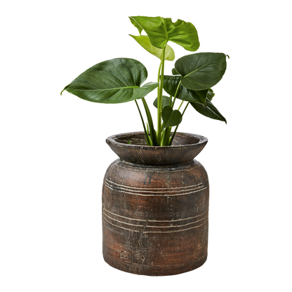 Seraphina, Medium terracotta vase