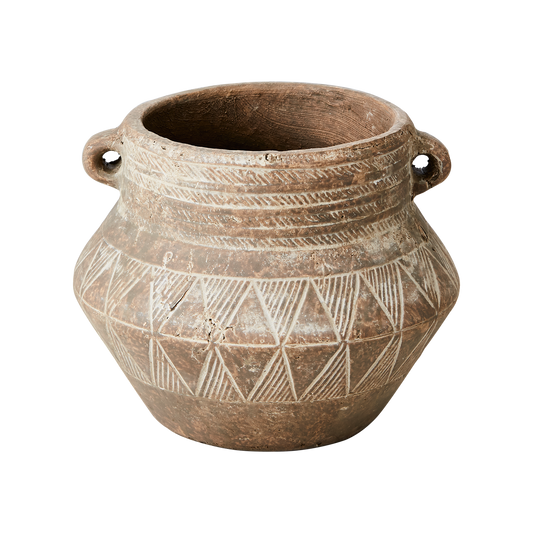 Helios, terracotta pot, medium