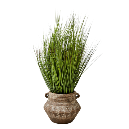 Helios, terracotta pot, medium