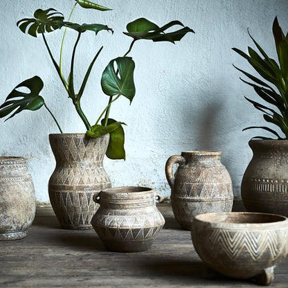 Helios, terracotta pot, medium