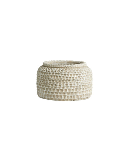 Aurelia, white pot, medium