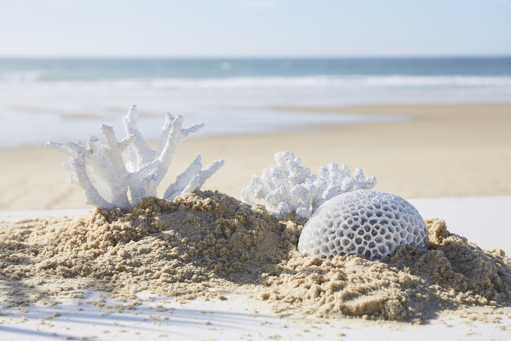 Coral sculpture white – Dwell by Eilish Rickard Interiors