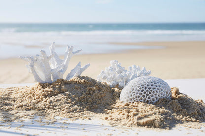 Coral sculpture white