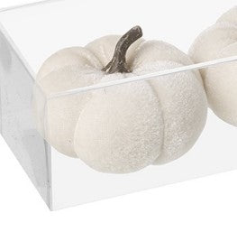 Set of three white velvet pumpkins