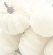 Set of 12 white velvet mini pumpkins