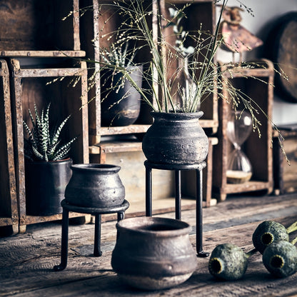 Arcadia Clay Pot, Assorted Colours