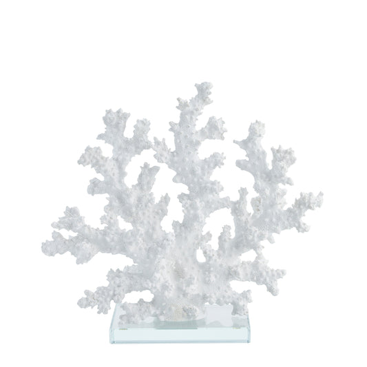 White coral sculpture with clear base