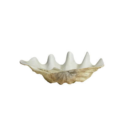 Decorative shell bowl, large