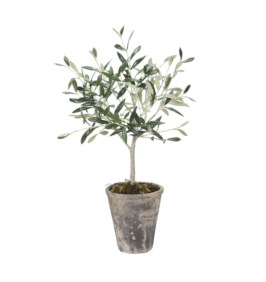 Olive tree artificial potted plant