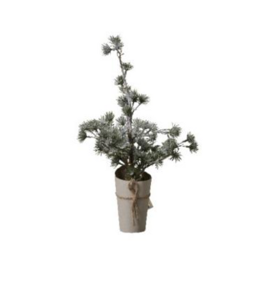 Light-up evergreen Christmas tree, 44cm