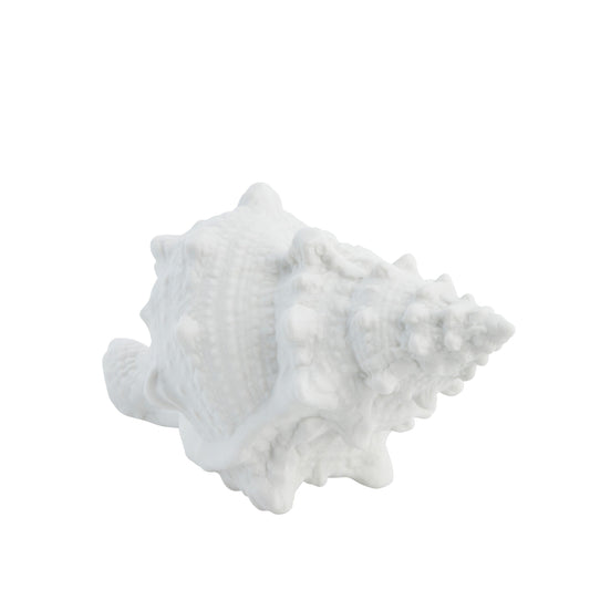 Small white porcelain shell